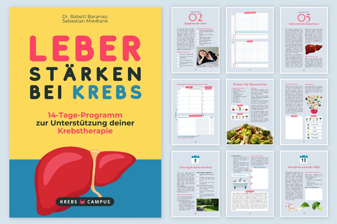 Leber stärken bei Krebs