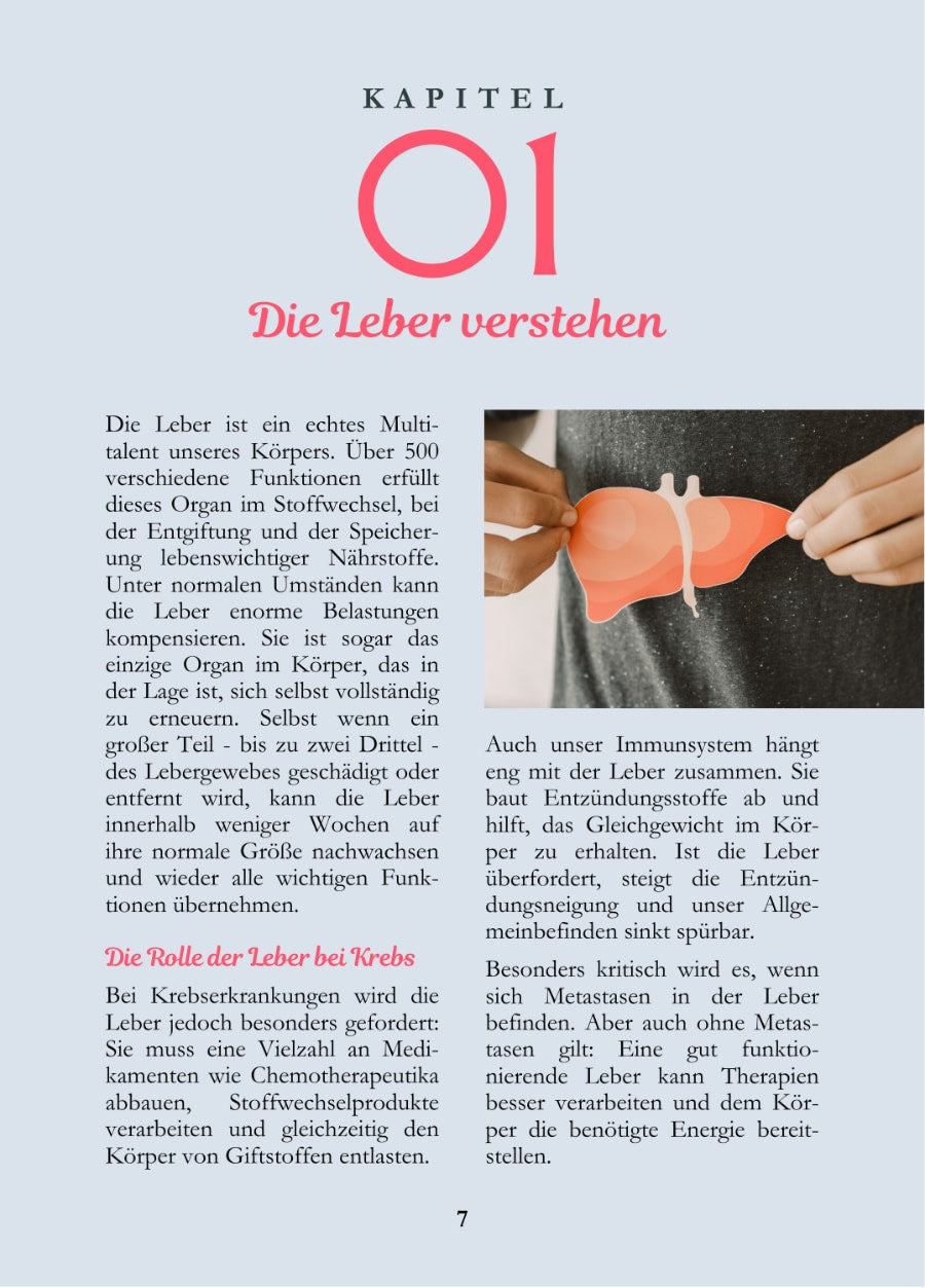 Leber stärken bei Krebs