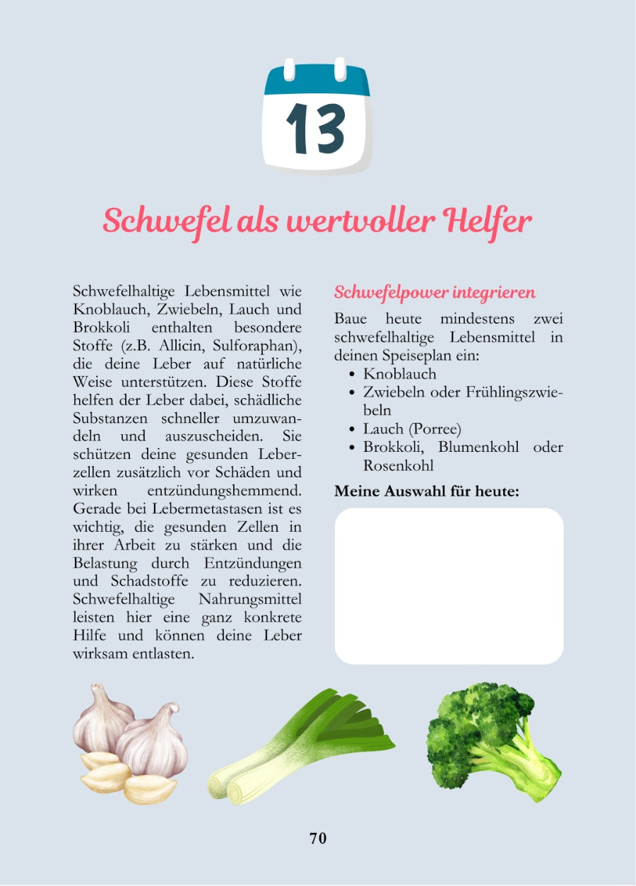 Leber stärken bei Krebs